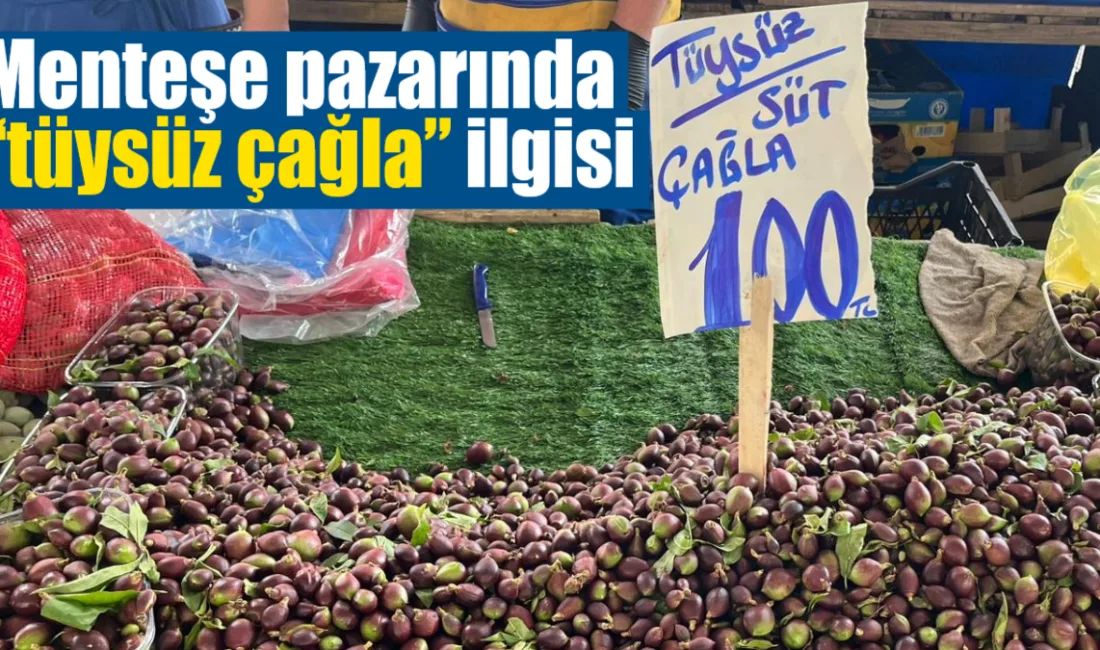 Muğla’nın Menteşe ilçesinde kurulan semt pazarlarında baharın simgelerinden çağla tezgâhlarda