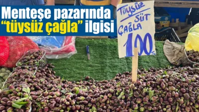 Muğla’nın Menteşe ilçesinde kurulan semt pazarlarında baharın simgelerinden çağla tezgâhlarda