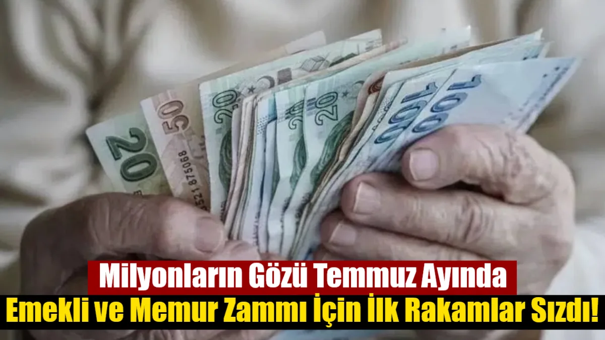 Merkez Bankası'nın Nisan ayı anket verilerine göre Temmuz ayında emekli