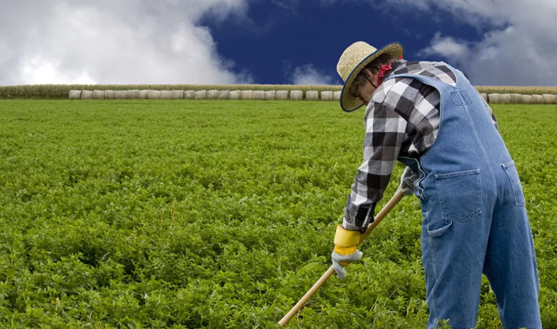 Muğla İl Tarım ve Orman Müdürlüğü, 2026 üretim yılı ÇKS