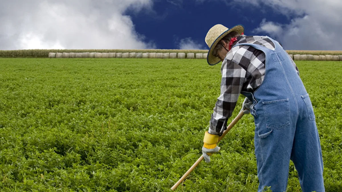 Muğla İl Tarım ve Orman Müdürlüğü, 2026 üretim yılı ÇKS