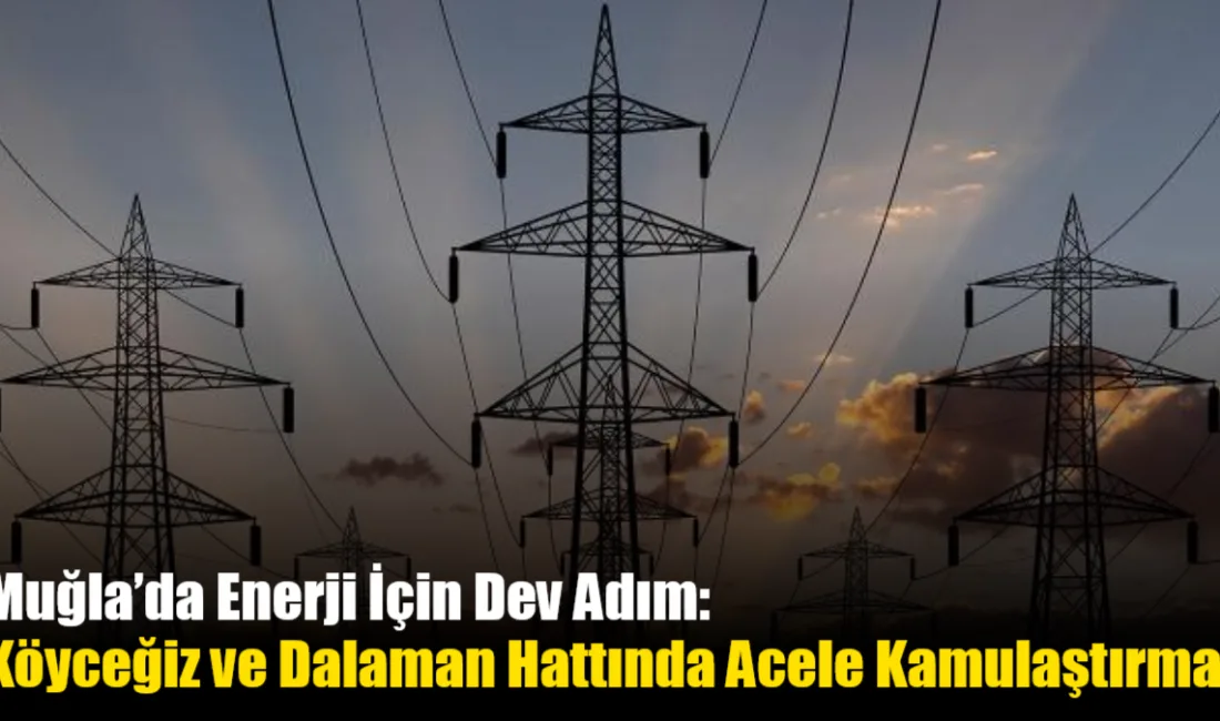 Muğla'nın enerji altyapısını güçlendirecek Köyceğiz-Dalaman hattı için acele kamulaştırma kararı