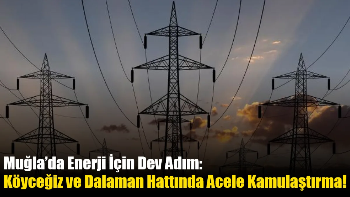 Muğla'nın enerji altyapısını güçlendirecek Köyceğiz-Dalaman hattı için acele kamulaştırma kararı