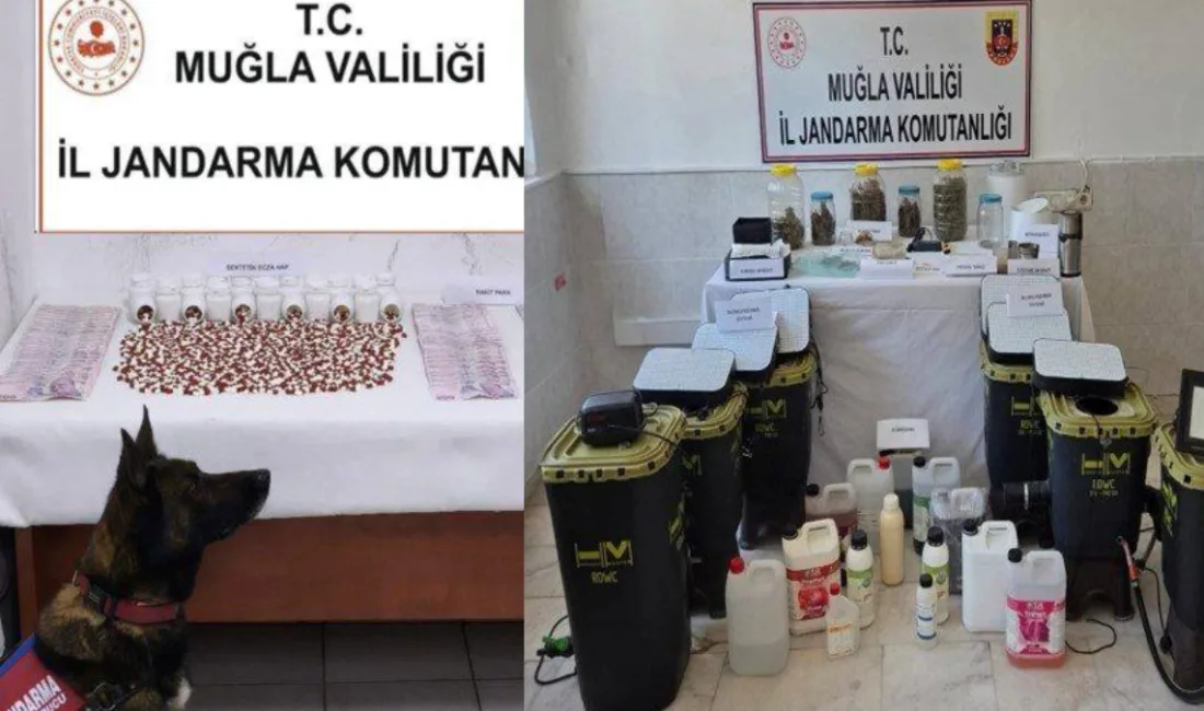 Muğla İl Jandarma Komutanlığı ekiplerinin yürüttüğü operasyonlarda çok sayıda uyuşturucu