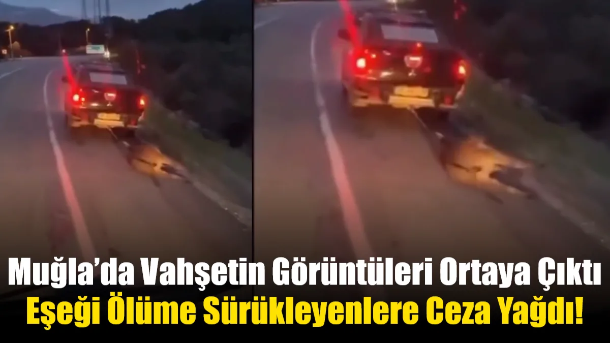 Muğla'nın Seydikemer ilçesinde bir eşeği aracın arkasına bağlayıp ölüme sürükleyen