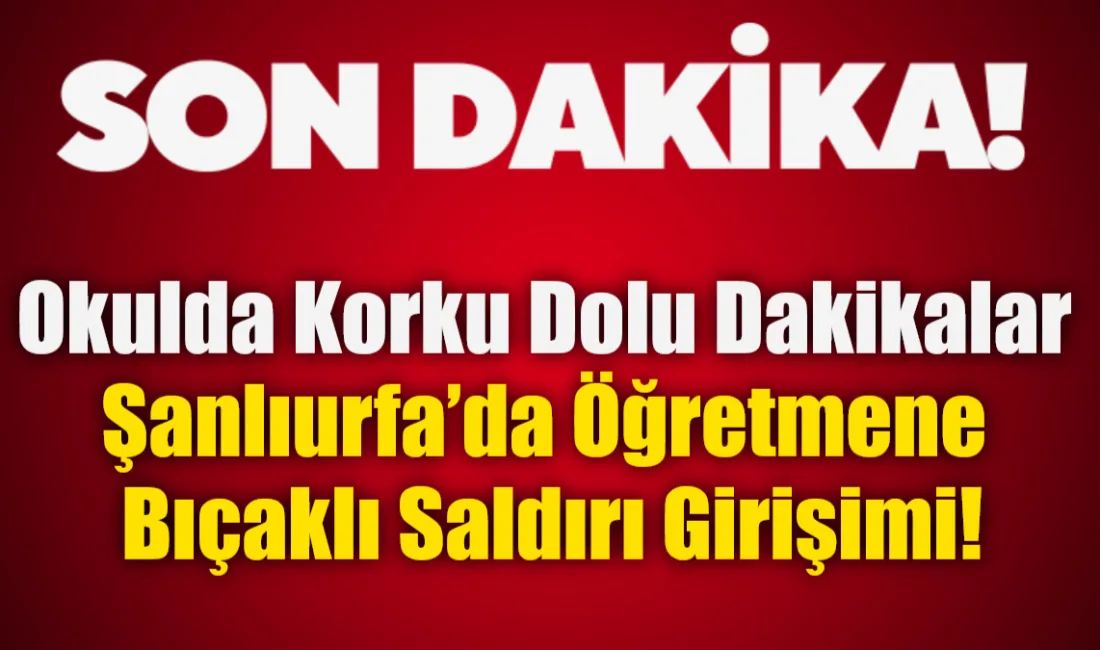 Şanlıurfa Siverek'teki Dumlupınar Ortaokulu'nda bir öğretmene bıçakla saldırmaya çalışan veli,