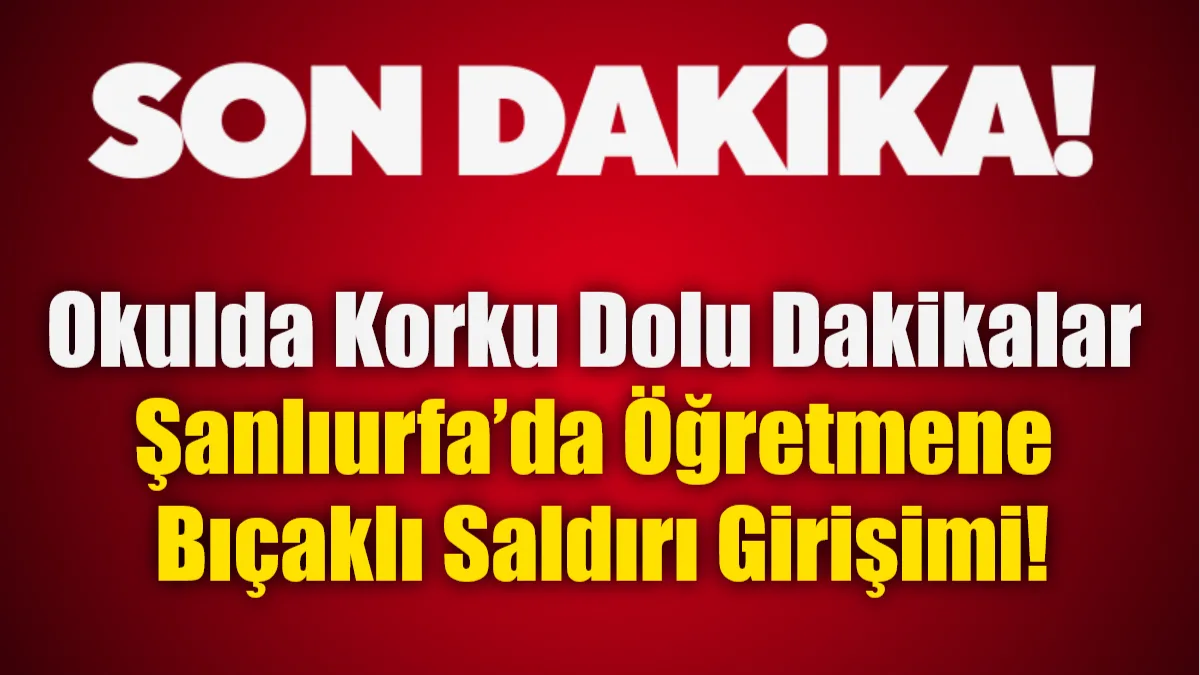 Şanlıurfa Siverek'teki Dumlupınar Ortaokulu'nda bir öğretmene bıçakla saldırmaya çalışan veli,