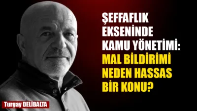 Demokratik hukuk devletlerinin en temel ilkelerinden biri, hiç şüphesiz hesap