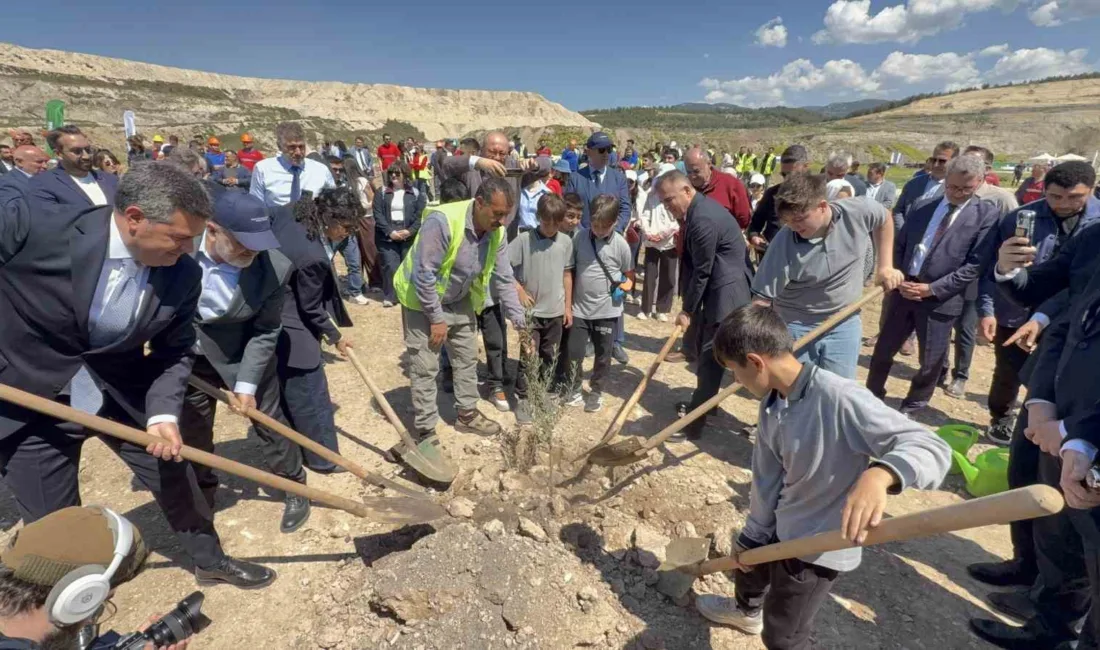 Milas Hüsamlar rehabilitasyon sahasında düzenlenen etkinlikte, 4 bin zeytin fidanı