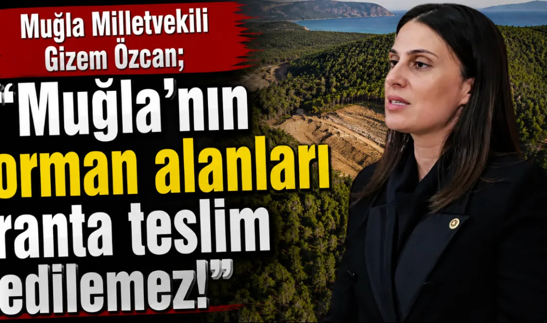 CHP Muğla Milletvekili Avukat Gizem Özcan, Muğla’nın Fethiye, Marmaris, Menteşe,
