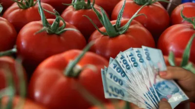2026 asgari ücreti market raflarına yenildi: 558 gram gelen tek