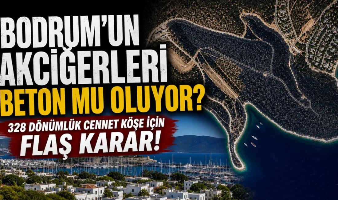 Kültür ve Turizm Bakanlığı’nın Muğla’nın Bodrum ilçesinde denize sıfır konumda