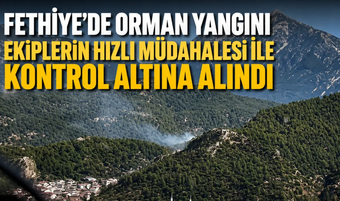 Muğla'nın Fethiye ilçesindeki Dikilitaş mevkiinde çıkan orman yangını, havadan ve