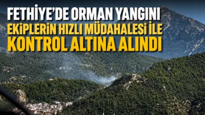 Muğla'nın Fethiye ilçesindeki Dikilitaş mevkiinde çıkan orman yangını, havadan ve