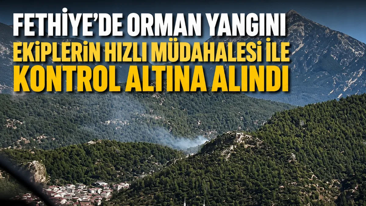 Muğla'nın Fethiye ilçesindeki Dikilitaş mevkiinde çıkan orman yangını, havadan ve