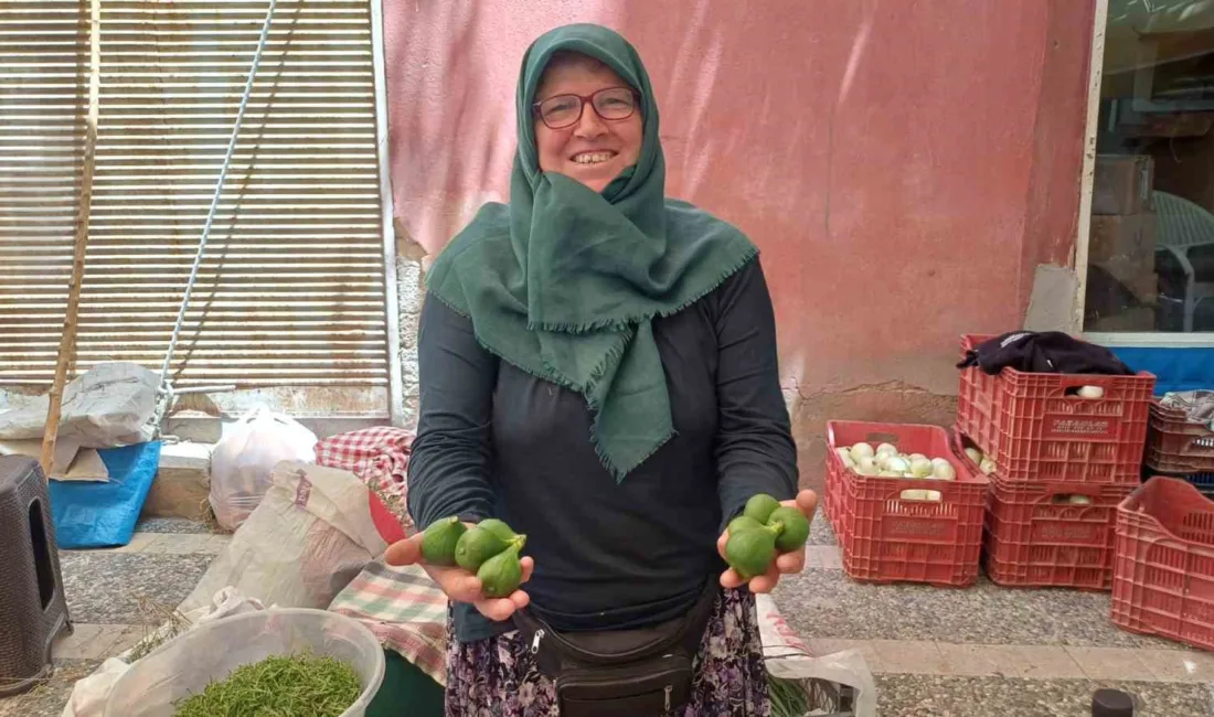 Aydın pazarında tezgahları süsleyen ve filmlere konu olan meşhur incir