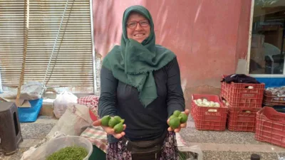 Aydın pazarında tezgahları süsleyen ve filmlere konu olan meşhur incir