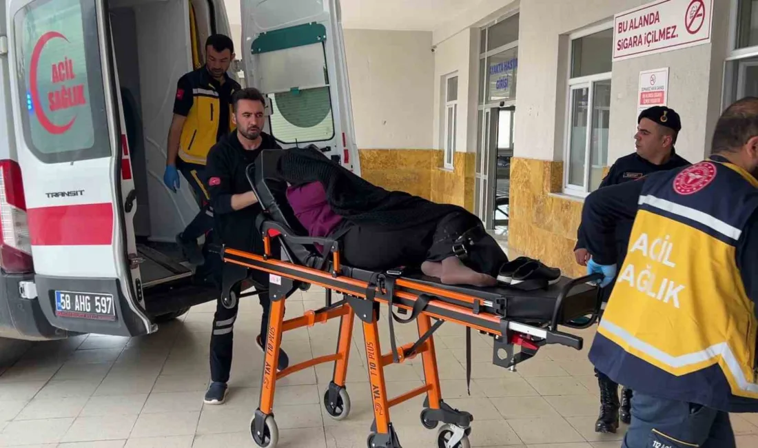 Sivas’ın Yıldızeli ilçesinde komşu bostanına giren inek nedeniyle akrabalar arasında