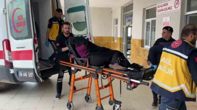 Sivas’ın Yıldızeli ilçesinde komşu bostanına giren inek nedeniyle akrabalar arasında