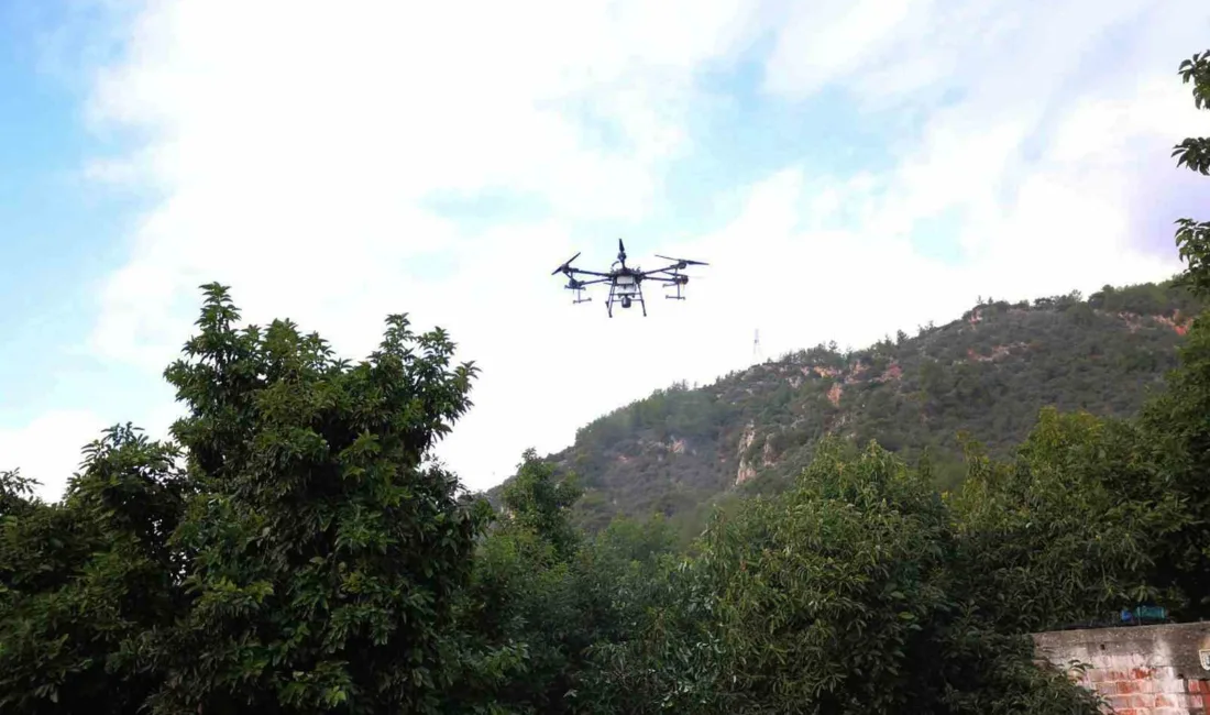 Muğla İl Tarım ve Orman Müdürü Seyfettin Baydar, zirai mücadelede