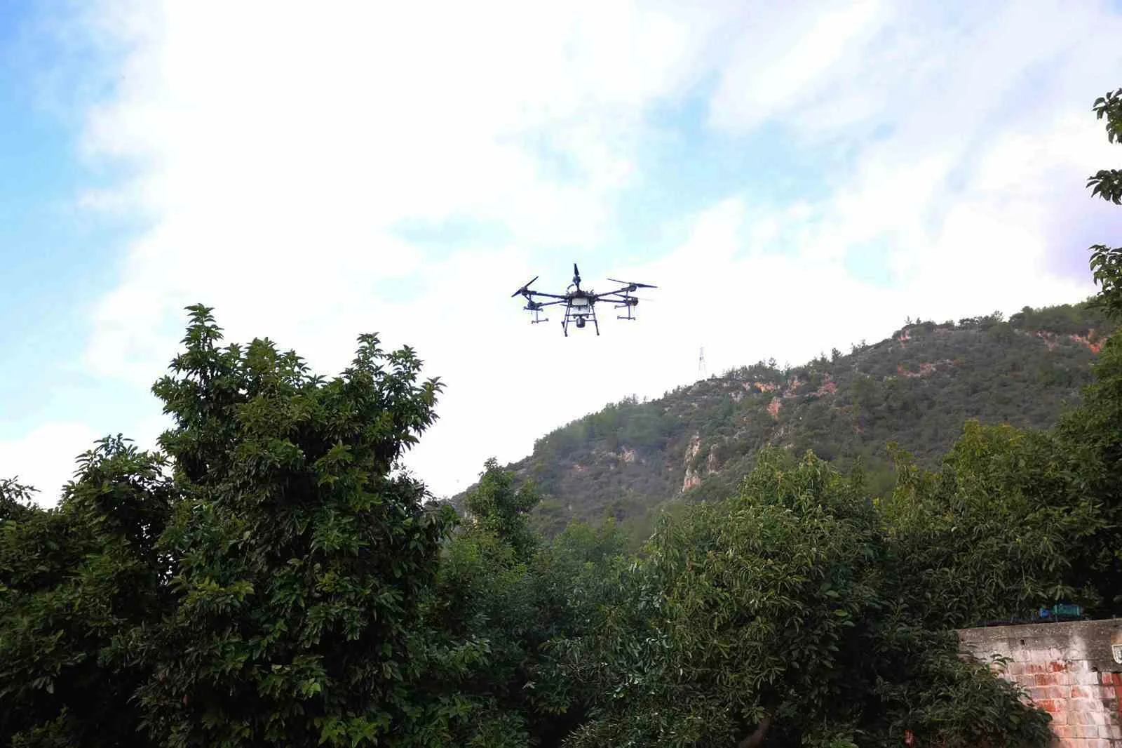 Muğla İl Tarım ve Orman Müdürü Seyfettin Baydar, zirai mücadelede