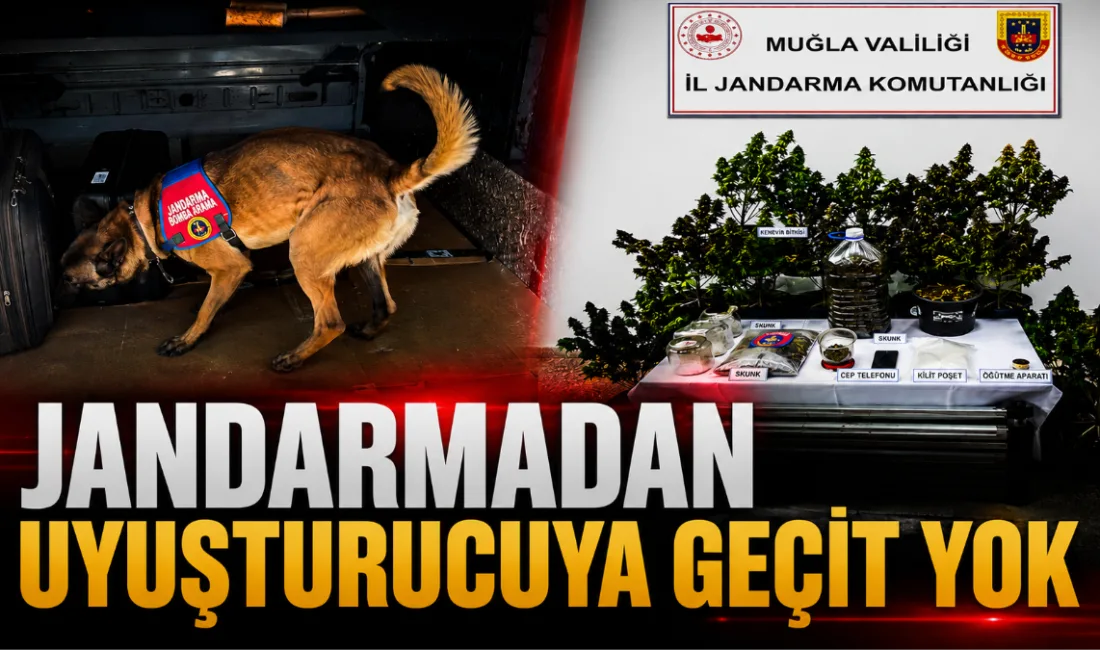 Muğla İl Jandarma Komutanlığı sorumluluk alanında 11-17 Mayıs 2026 tarihleri