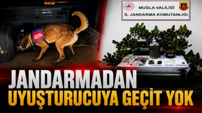 Muğla İl Jandarma Komutanlığı sorumluluk alanında 11-17 Mayıs 2026 tarihleri