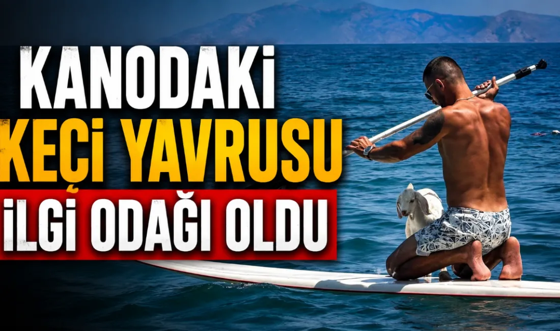 Muğla'nın Datça ilçesinde Emre Yılmaz adlı vatandaşın, henüz bir aylık
