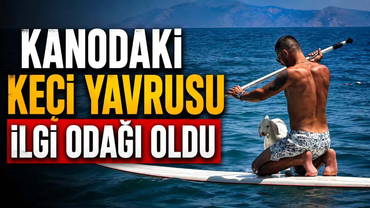 Muğla'nın Datça ilçesinde Emre Yılmaz adlı vatandaşın, henüz bir aylık