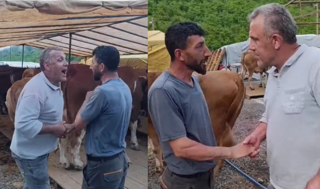 Trabzon’da kurulan kurban pazarında 1 tonluk "Paşa" isimli boğa ilgi