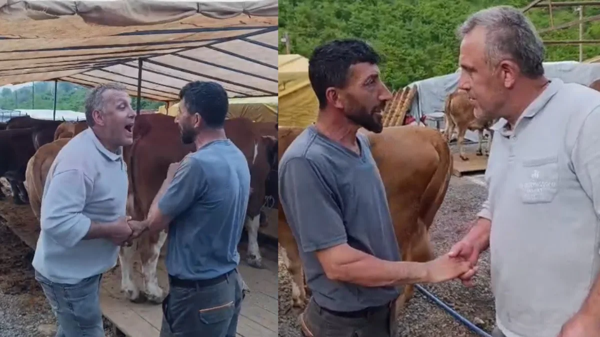 Trabzon’da kurulan kurban pazarında 1 tonluk "Paşa" isimli boğa ilgi
