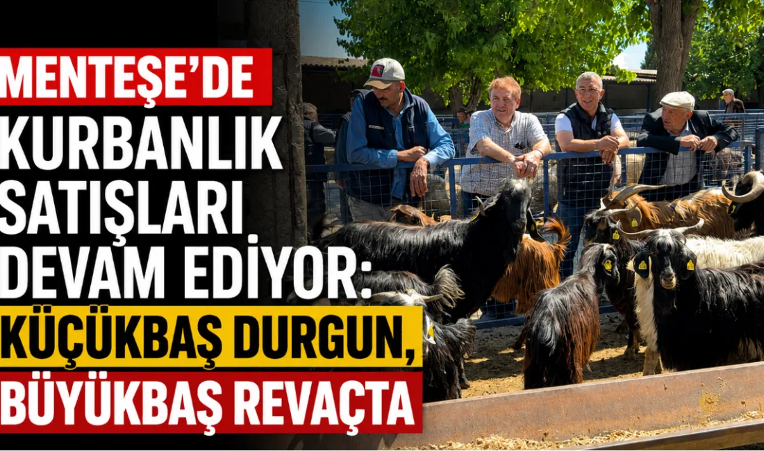 Kurban Bayramı’na günler kala, Menteşe’deki Bayır Hayvan Pazarı’nda satış hareketliliği