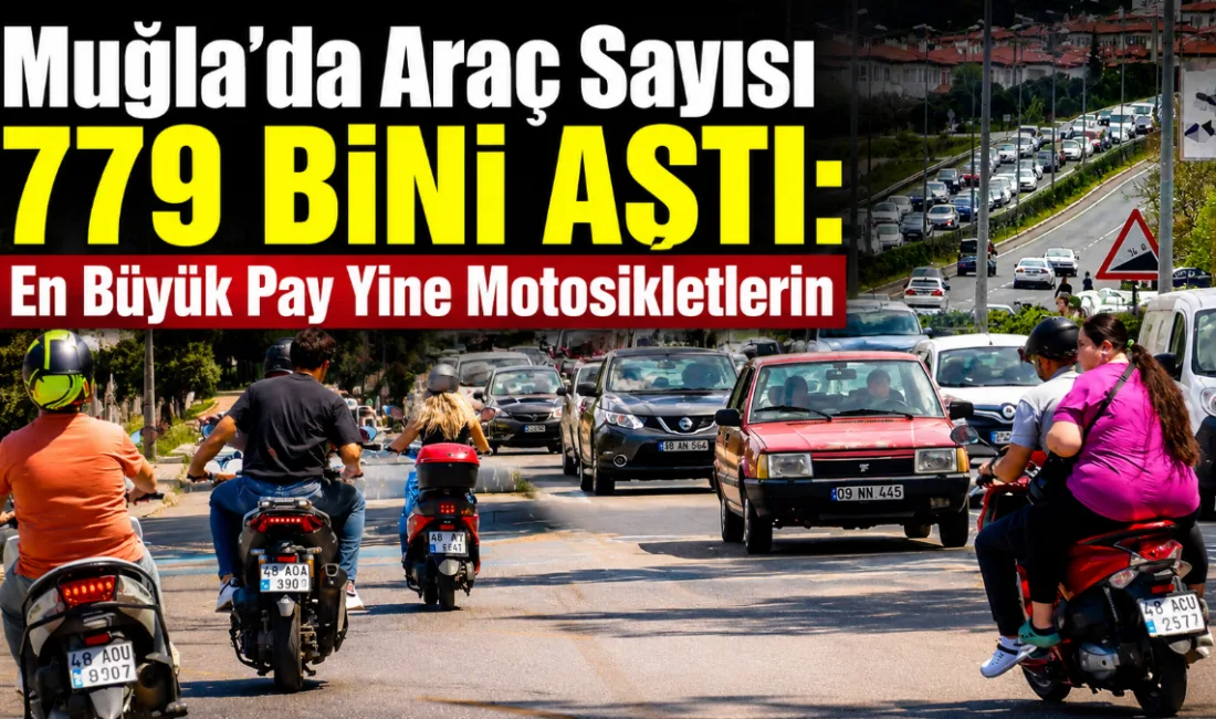 Türkiye İstatistik Kurumu’nun (TÜİK) mayıs ayı motorlu kara taşıtları verilerine