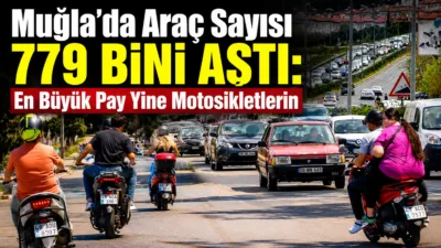 Türkiye İstatistik Kurumu’nun (TÜİK) mayıs ayı motorlu kara taşıtları verilerine