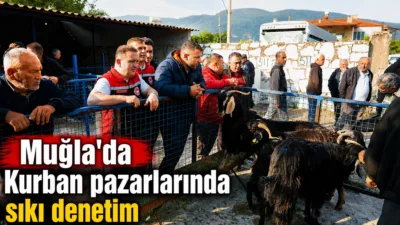 Muğla Tarım ve Orman İl Müdürü Seyfettin Baydar, yaklaşan Kurban