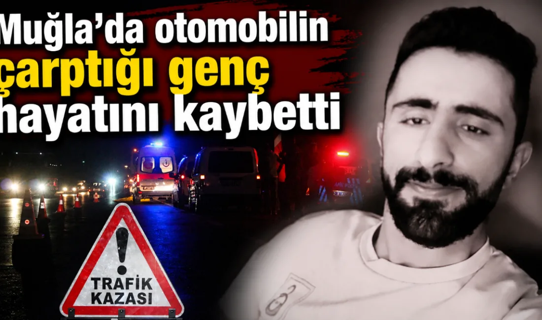 Muğla'nın Bodrum ile Milas ilçeleri arasındaki karayolunda yolun karşısına geçmeye