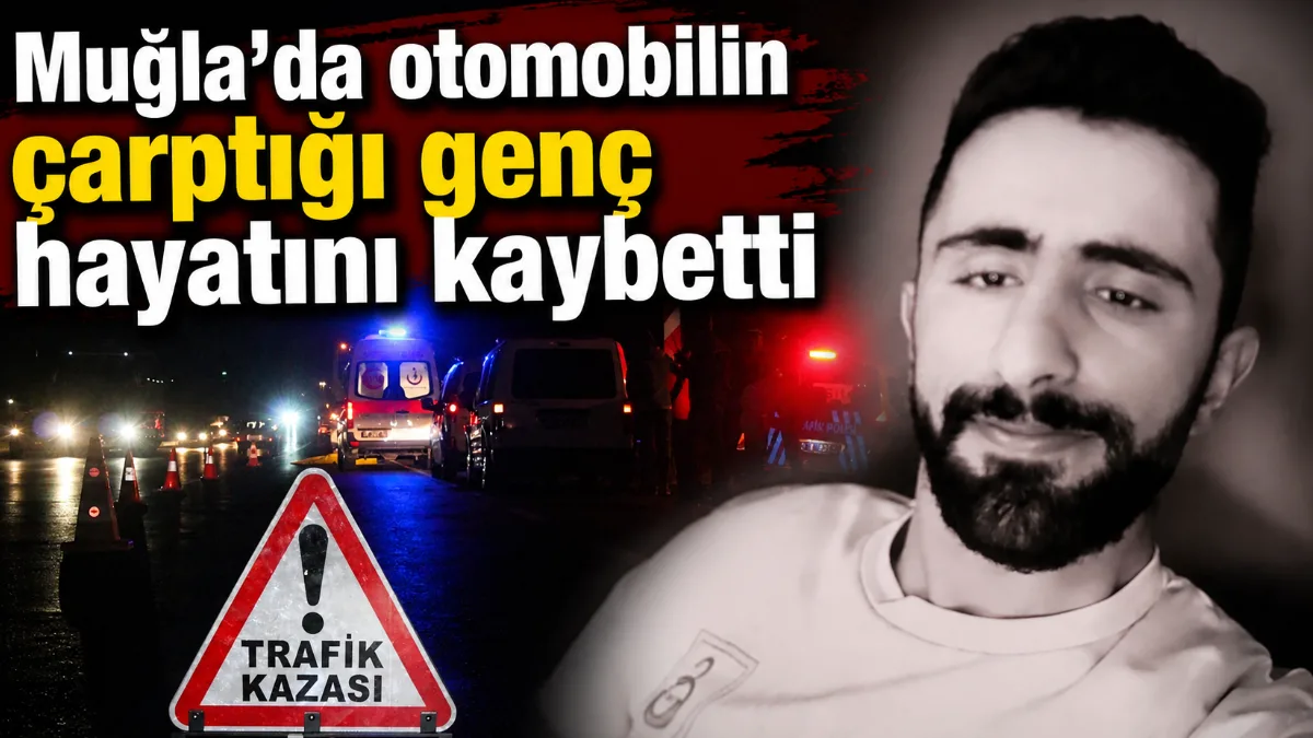 Muğla'nın Bodrum ile Milas ilçeleri arasındaki karayolunda yolun karşısına geçmeye