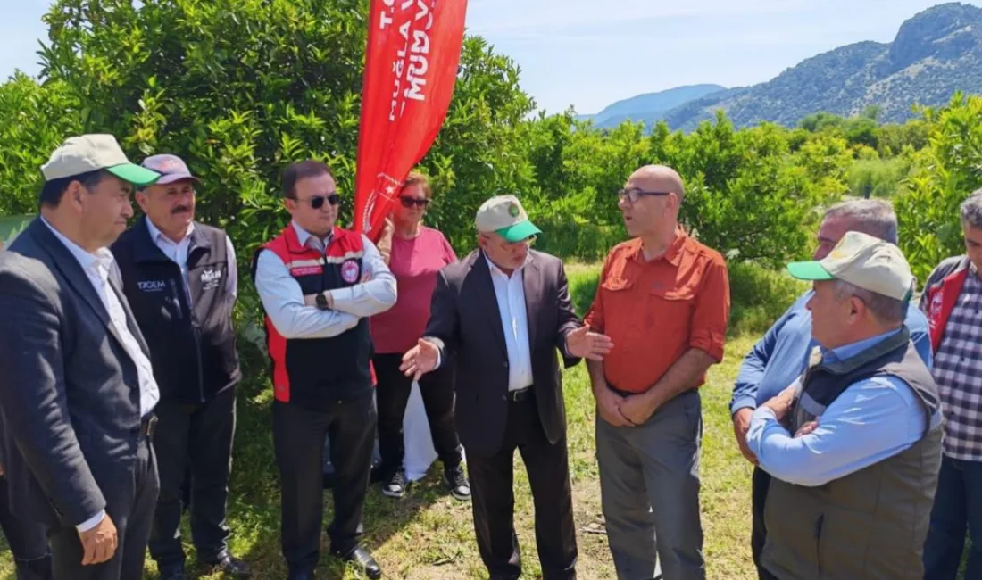 Muğla’da turunçgil üretim alanlarında biyolojik mücadeleyi güçlendirmek amacıyla biyotop bahçeleri
