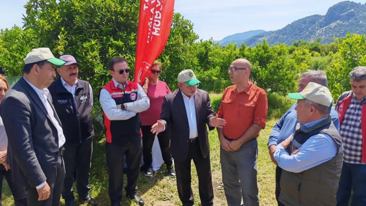 Muğla’da turunçgil üretim alanlarında biyolojik mücadeleyi güçlendirmek amacıyla biyotop bahçeleri