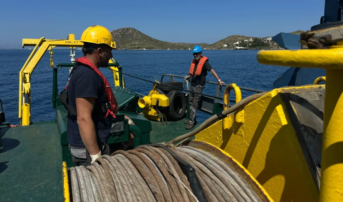 Muğla’da Deniz çayırları bilimsel yöntemlerle tespit edilip korunacak, Bodrum ve