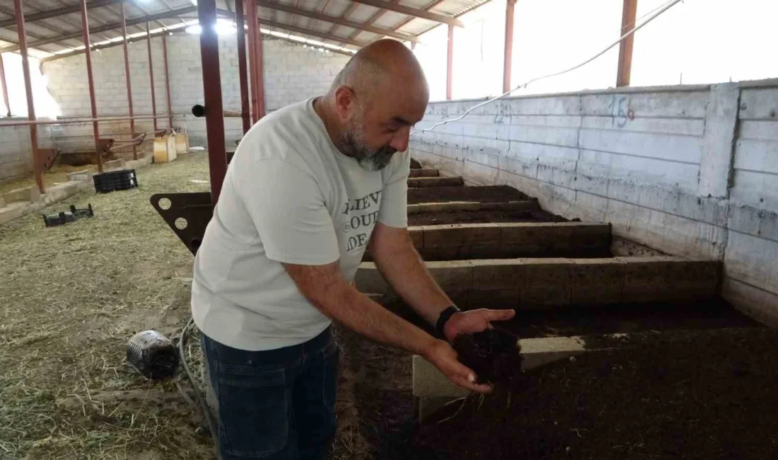 Bursa'daki işinden memleketi Malatya’ya dönerek evinin bahçesinde solucan gübresi üretimine