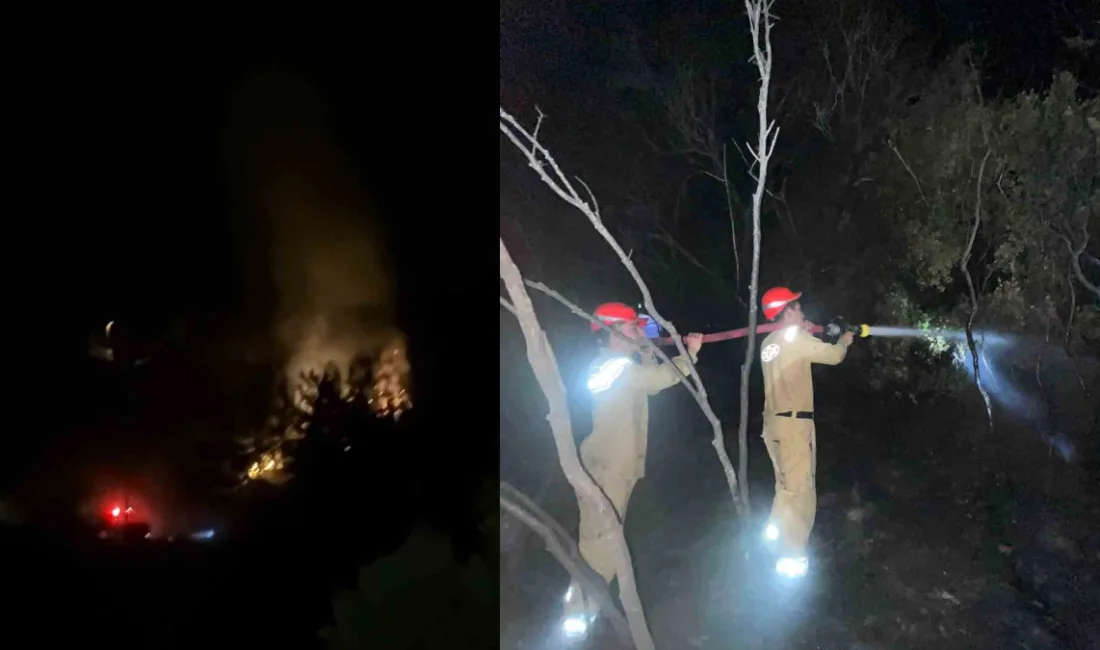 Muğla’nın Dalaman ilçesine bağlı Elcik Mahallesi yakınlarındaki ormanlık alanda gece