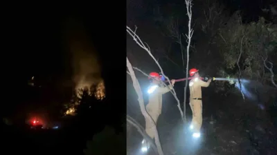 Muğla’nın Dalaman ilçesinde ormanlık alanda çıkan yangın, ekiplerin hızlı müdahalesiyle