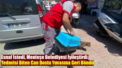 Menteşe’de rahatsızlanan ve belediye ekiplerince kısa sürede müdahale edilerek tedavi