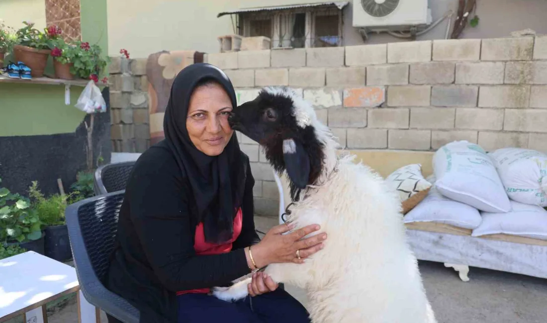 Hatay'da 10 yaşındaki kızını lösemiden kaybeden acılı anne Kader Bük,