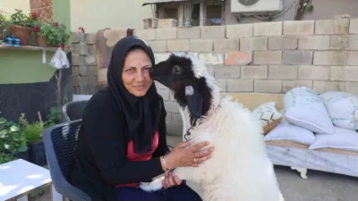 Hatay'da 10 yaşındaki kızını lösemiden kaybeden acılı anne Kader Bük,