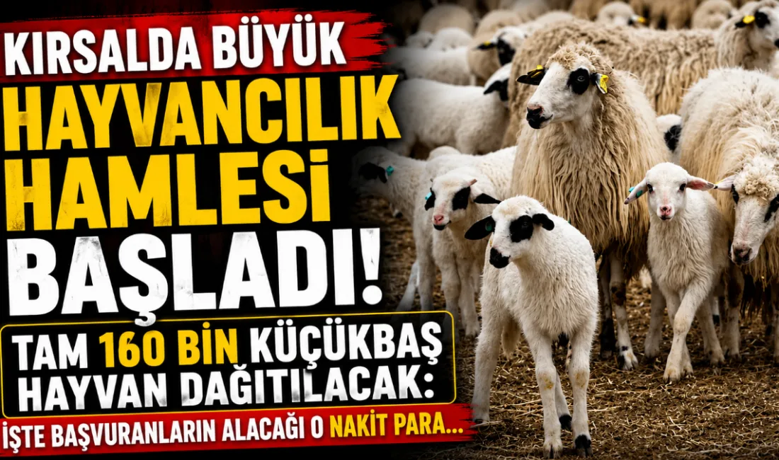 Tarım ve Orman Bakanı İbrahim Yumaklı, "Kırsalda Bereket Küçükbaşa Destek