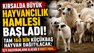 Tarım ve Orman Bakanı İbrahim Yumaklı, "Kırsalda Bereket Küçükbaşa Destek