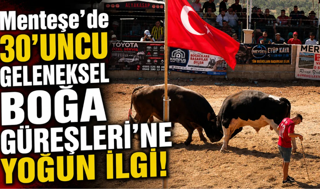 Muğla’nın Menteşe ilçesinde bu yıl 30’uncusu düzenlenen geleneksel boğa güreşleri,