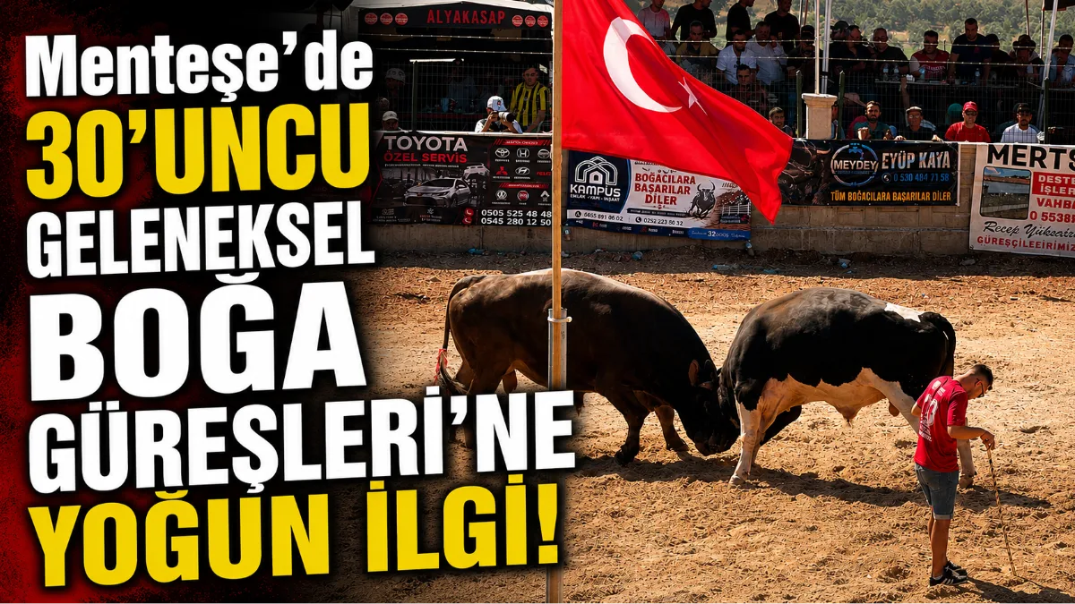 Muğla’nın Menteşe ilçesinde bu yıl 30’uncusu düzenlenen geleneksel boğa güreşleri,